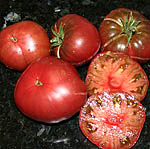 Tomato Seeds maliniak ROSA Busch Tomate De Pologne 10 Graines Tomate populaire 