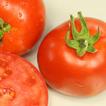 Grillen Tomate Saatgut 40384 Buschtomate 'Roma' rot pflaumenförmig zum Kochen 